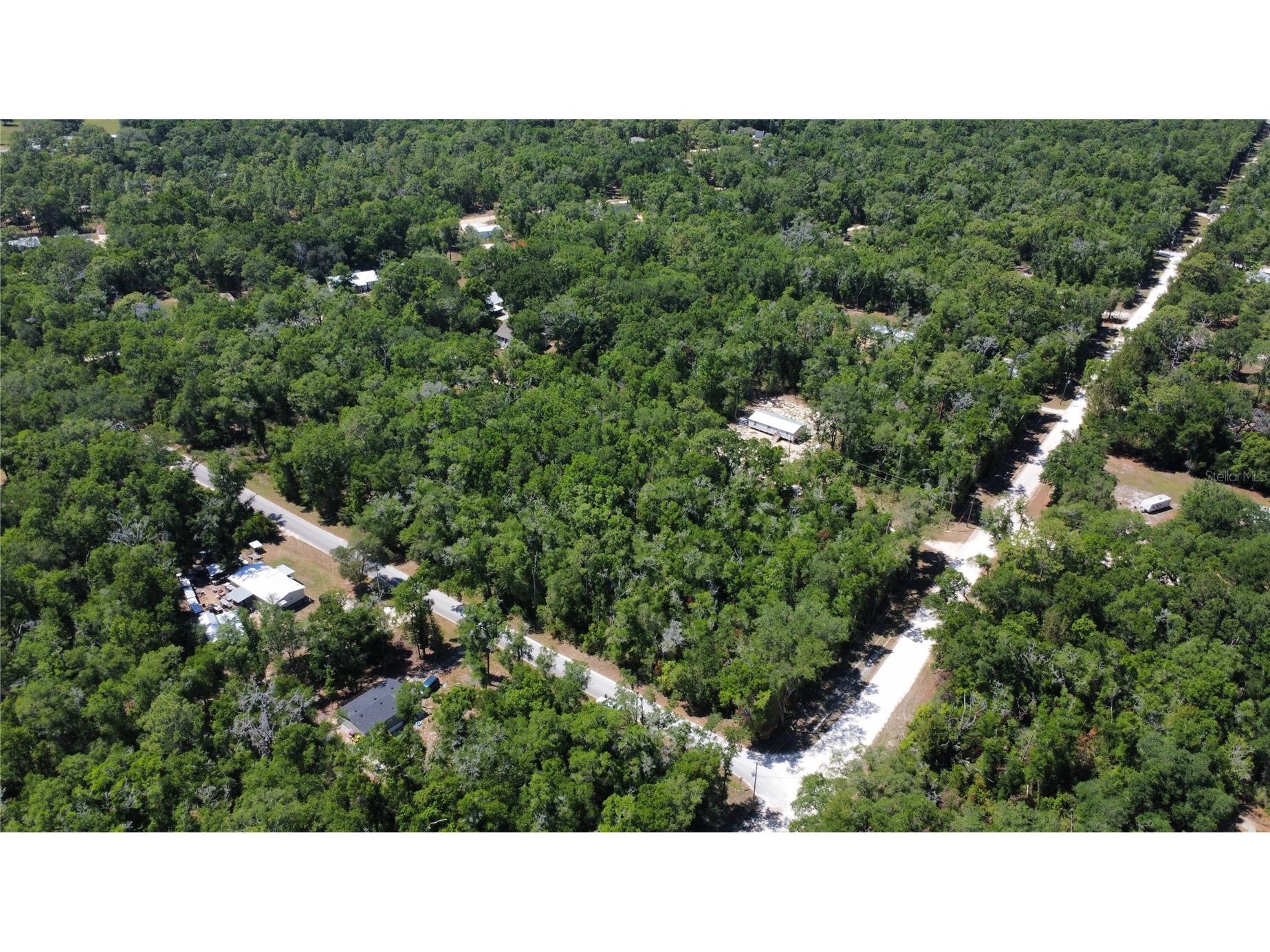 00 Ne 7th Place Williston FL 32696 OM724054 image4