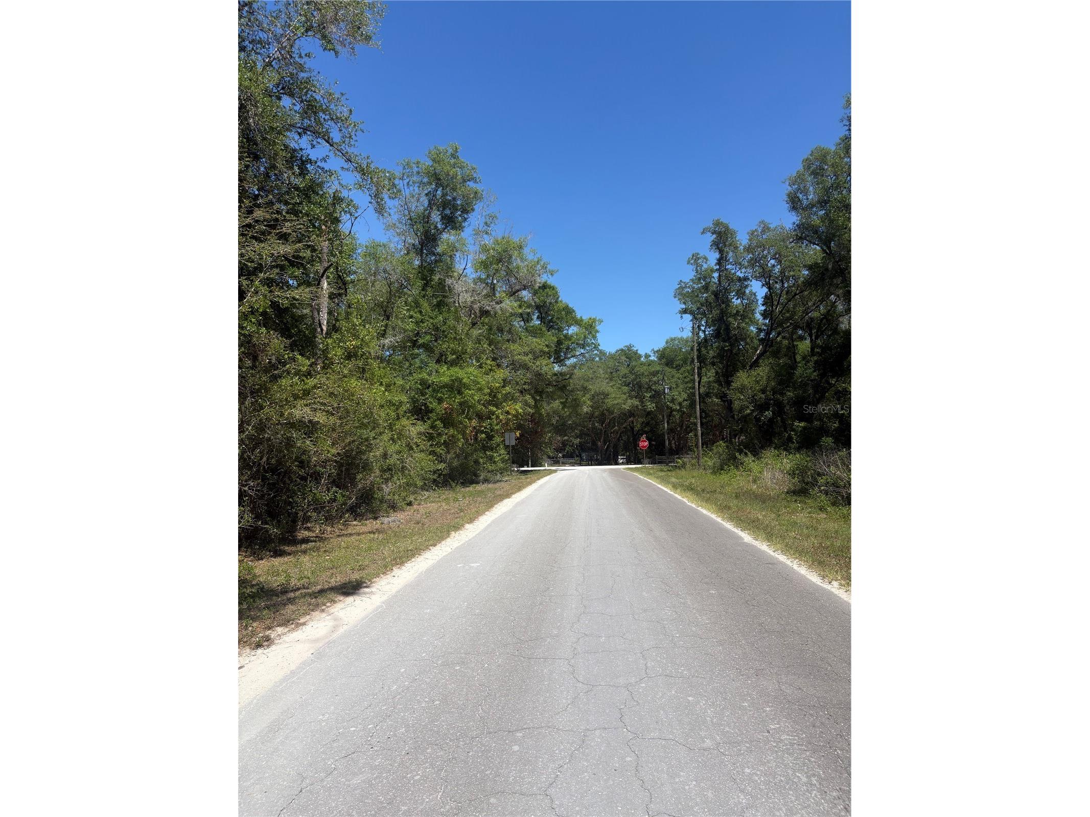 00 Ne 7th Place Williston FL 32696 OM724054 image5