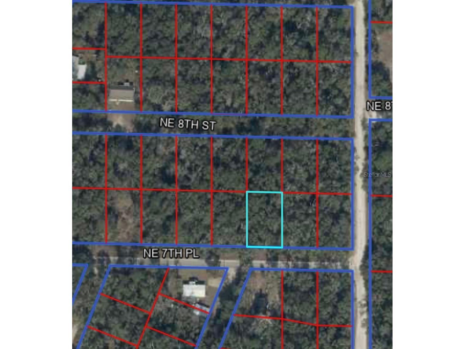 00 Ne 7th Place Williston FL 32696 OM724054 image7