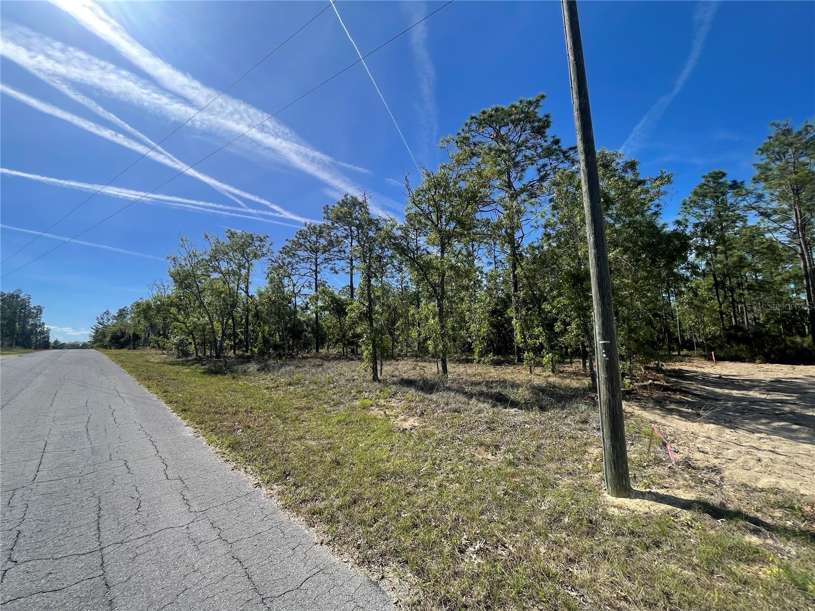NE 7th Place Williston FL 32696 OM725217 image3