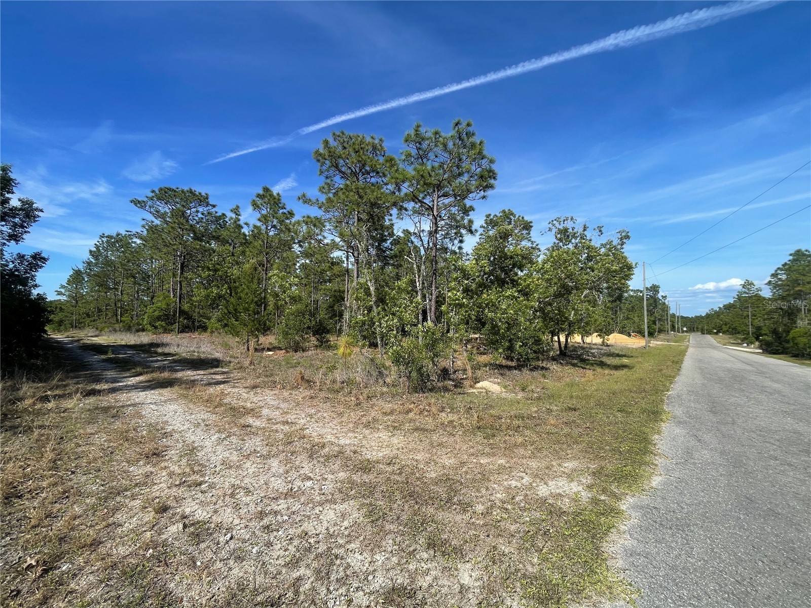 NE 7th Place Williston FL 32696 OM725217 image4