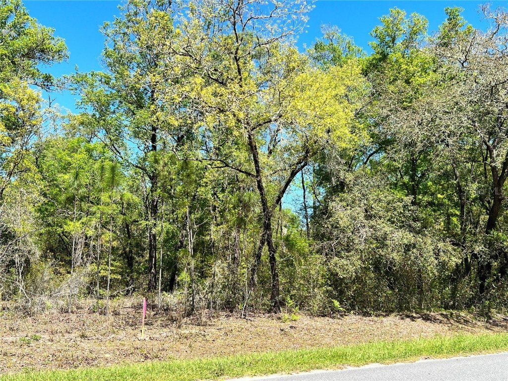 NE 80 Street Bronson FL 32621 GC511986 image1