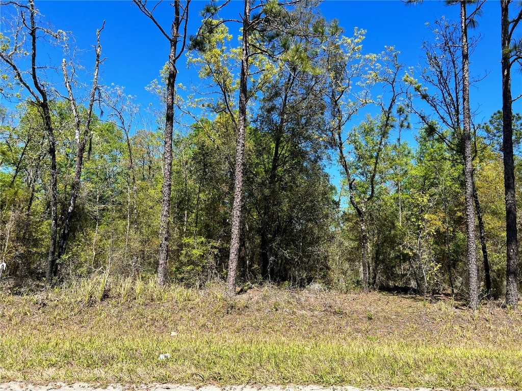 NE 80 Street Bronson FL 32621 GC511987 image1