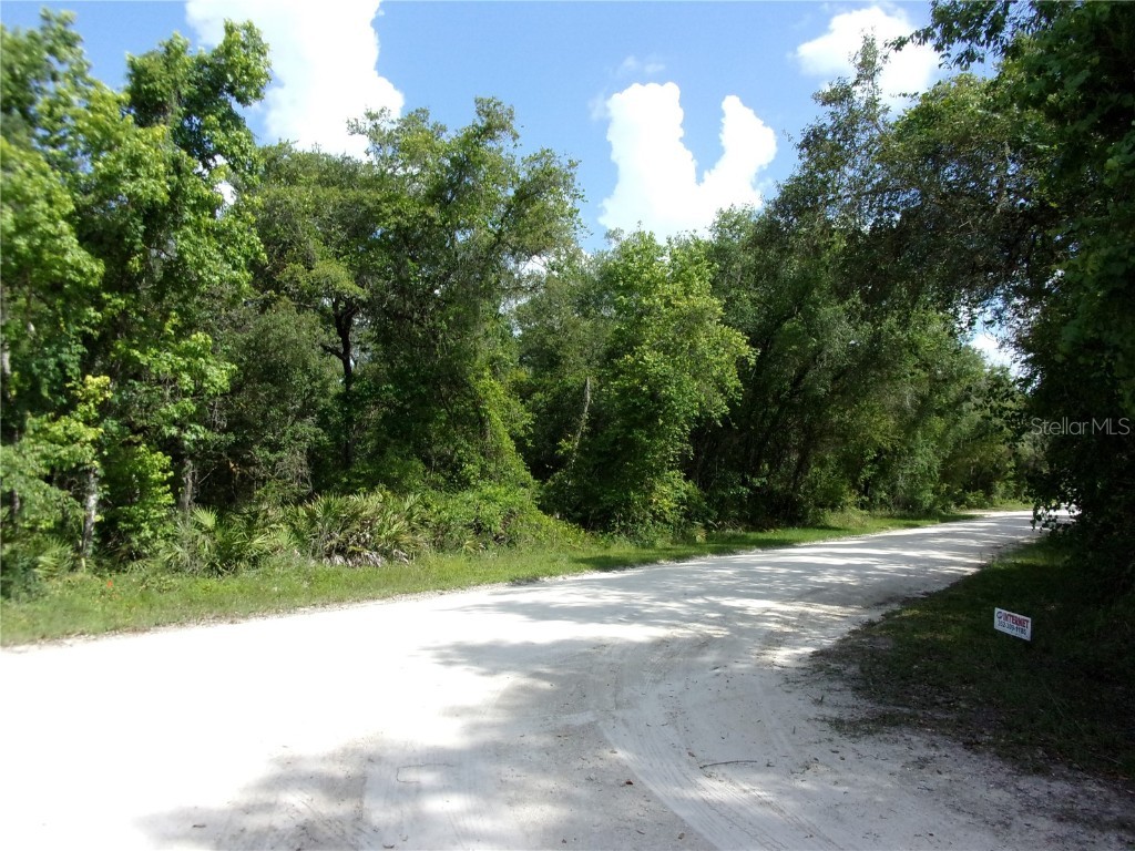 NE 836th Street Old Town FL 32680 OM658295 image1