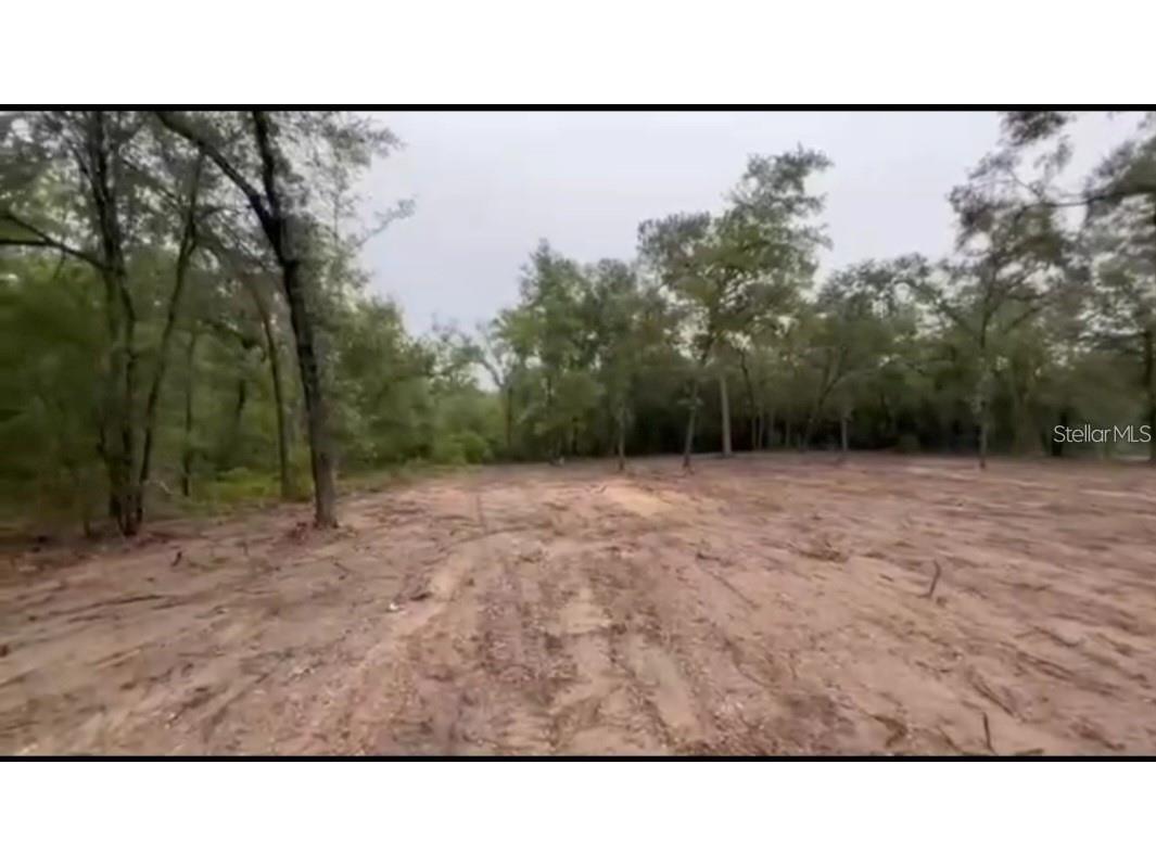 NE 83rd Lane Bronson FL 32621 S5081571 image1