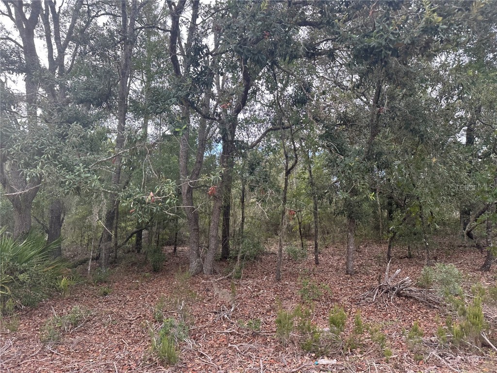 NE 85th St Bronson FL 32621 GC532673 image10