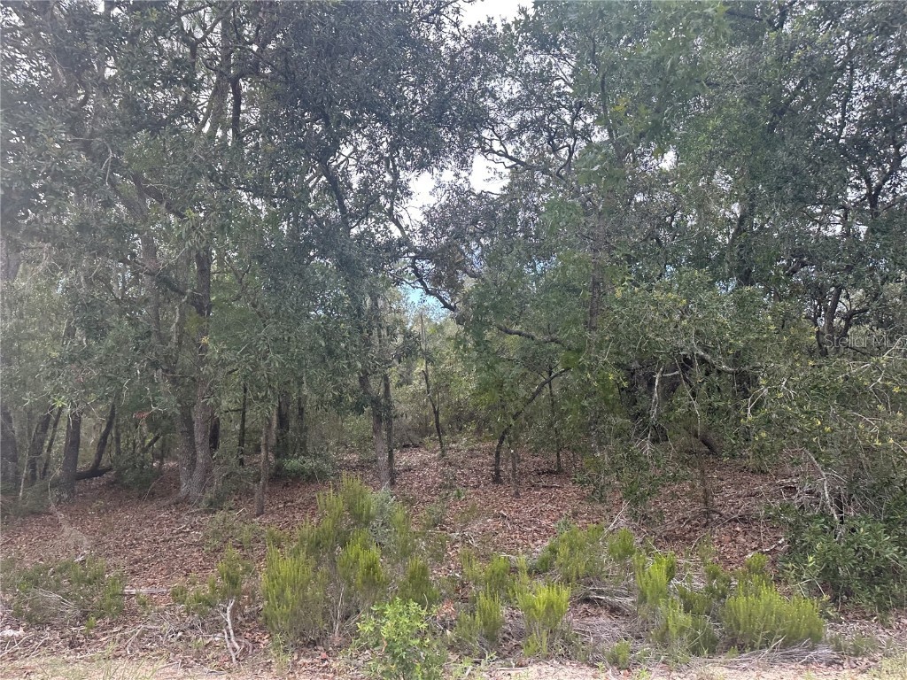 NE 85th St Bronson FL 32621 GC532673 image11