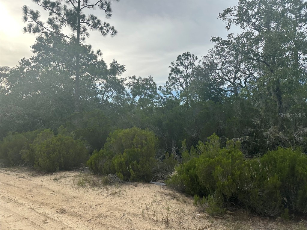 NE 85th St Bronson FL 32621 GC532673 image12