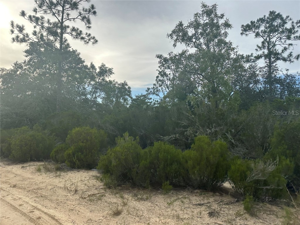 NE 85th St Bronson FL 32621 GC532673 image13