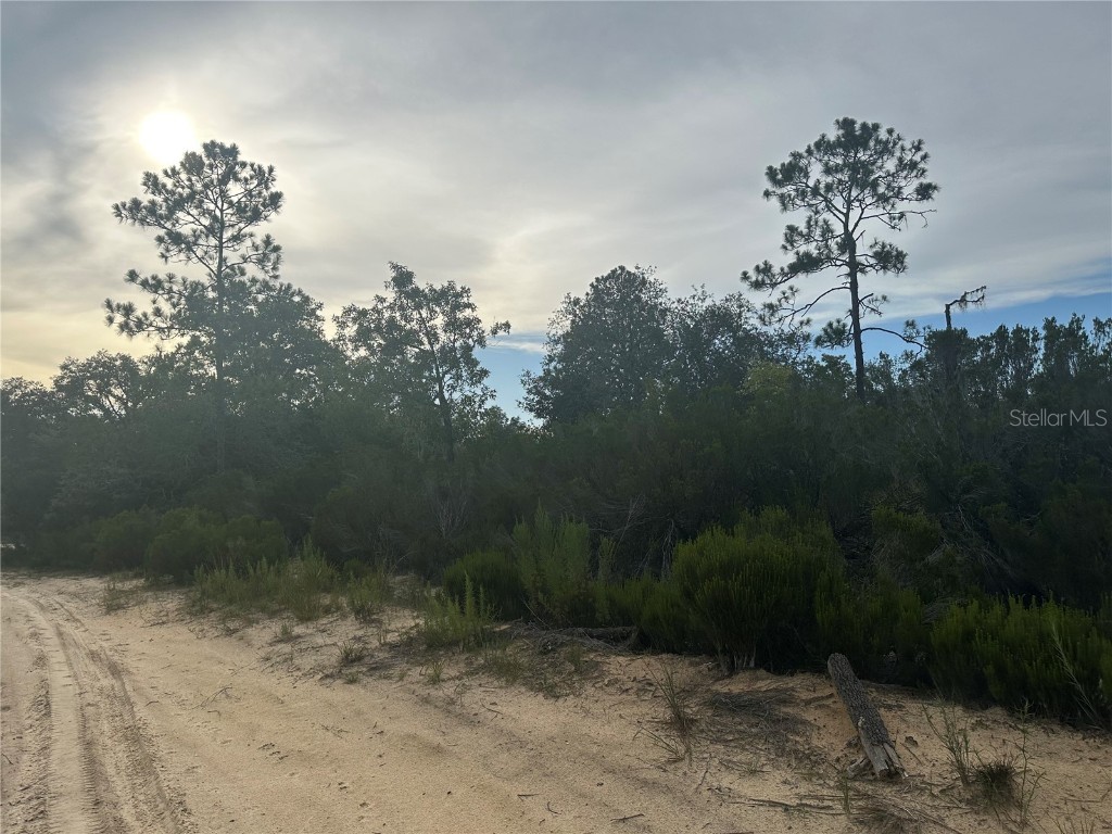 NE 85th St Bronson FL 32621 GC532673 image14