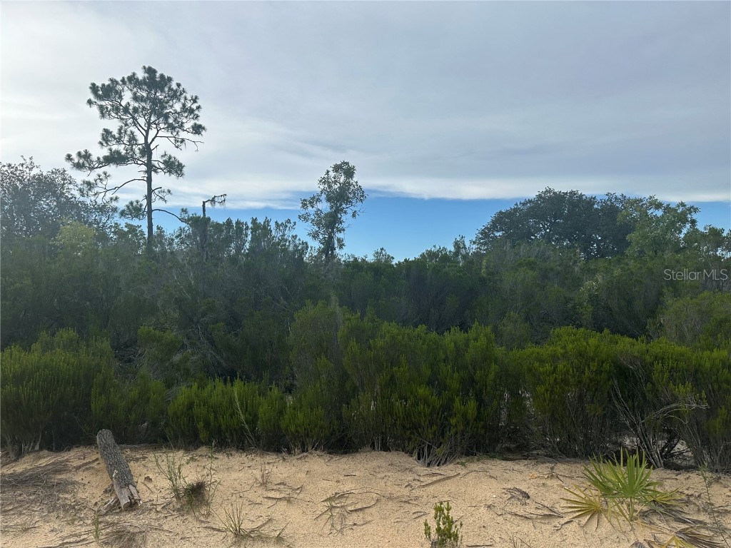 NE 85th St Bronson FL 32621 GC532673 image15