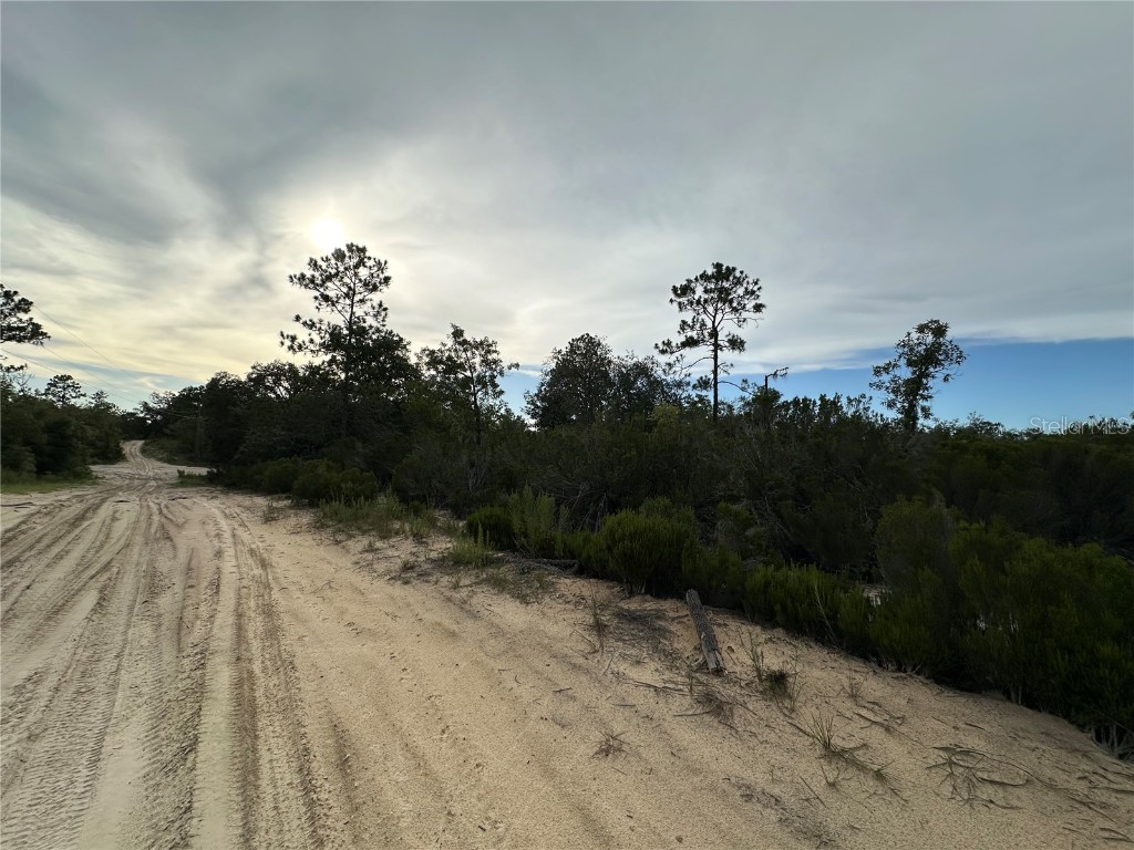 NE 85th St Bronson FL 32621 GC532673 image16