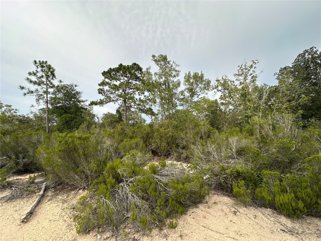 NE 85th St Bronson FL 32621 GC532673 image2