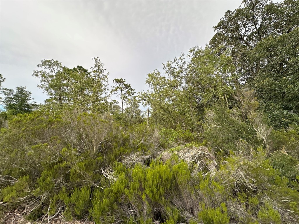 NE 85th St Bronson FL 32621 GC532673 image3