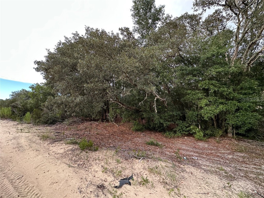 NE 85th St Bronson FL 32621 GC532673 image4