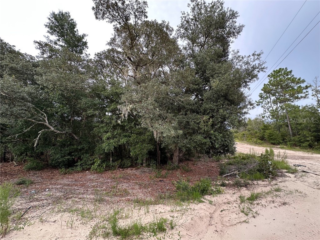 NE 85th St Bronson FL 32621 GC532673 image5