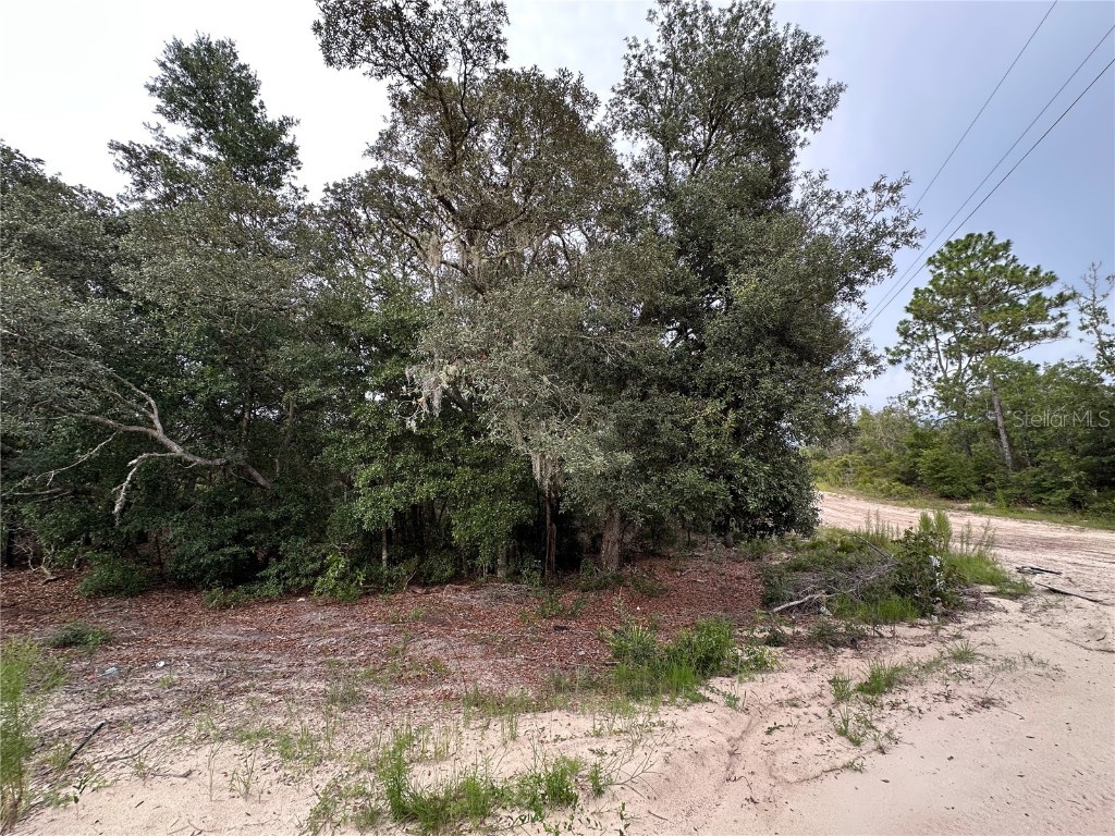 NE 85th St Bronson FL 32621 GC532673 image6