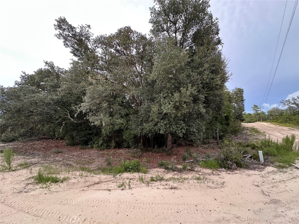 NE 85th St Bronson FL 32621 GC532673 image7