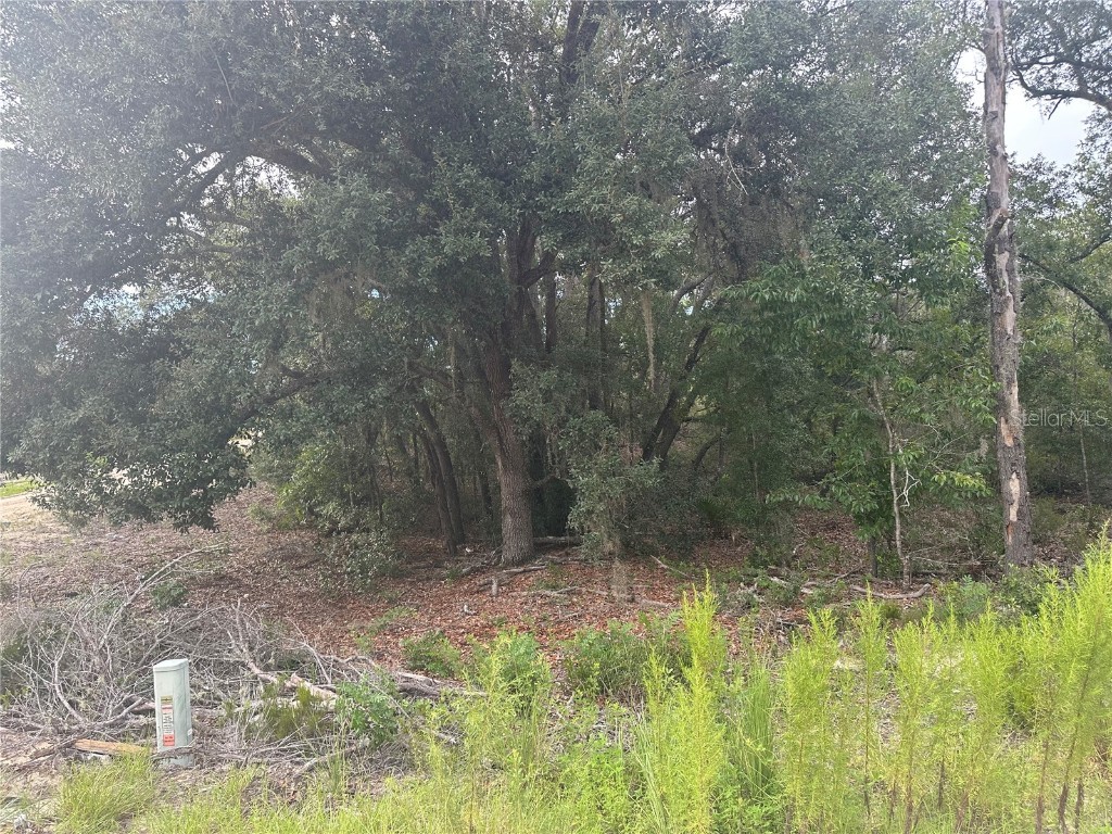 NE 85th St Bronson FL 32621 GC532673 image8