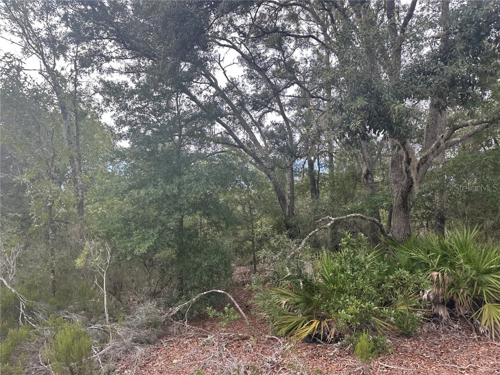 NE 85th St Bronson FL 32621 GC532673 image9