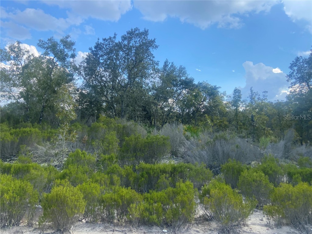 Ne 87th Place Bronson FL 32621 GC516212 image1