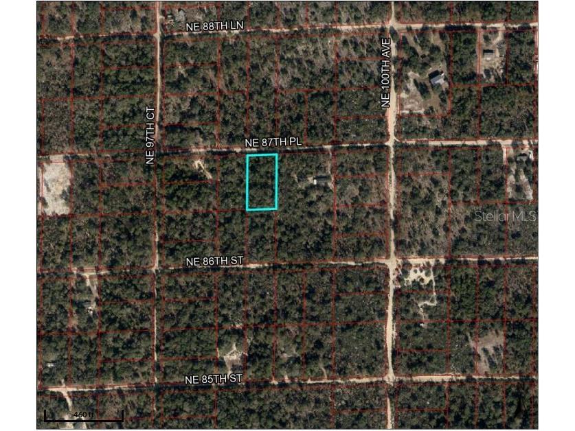 Ne 87th Place Bronson FL 32621 O6172348 image1