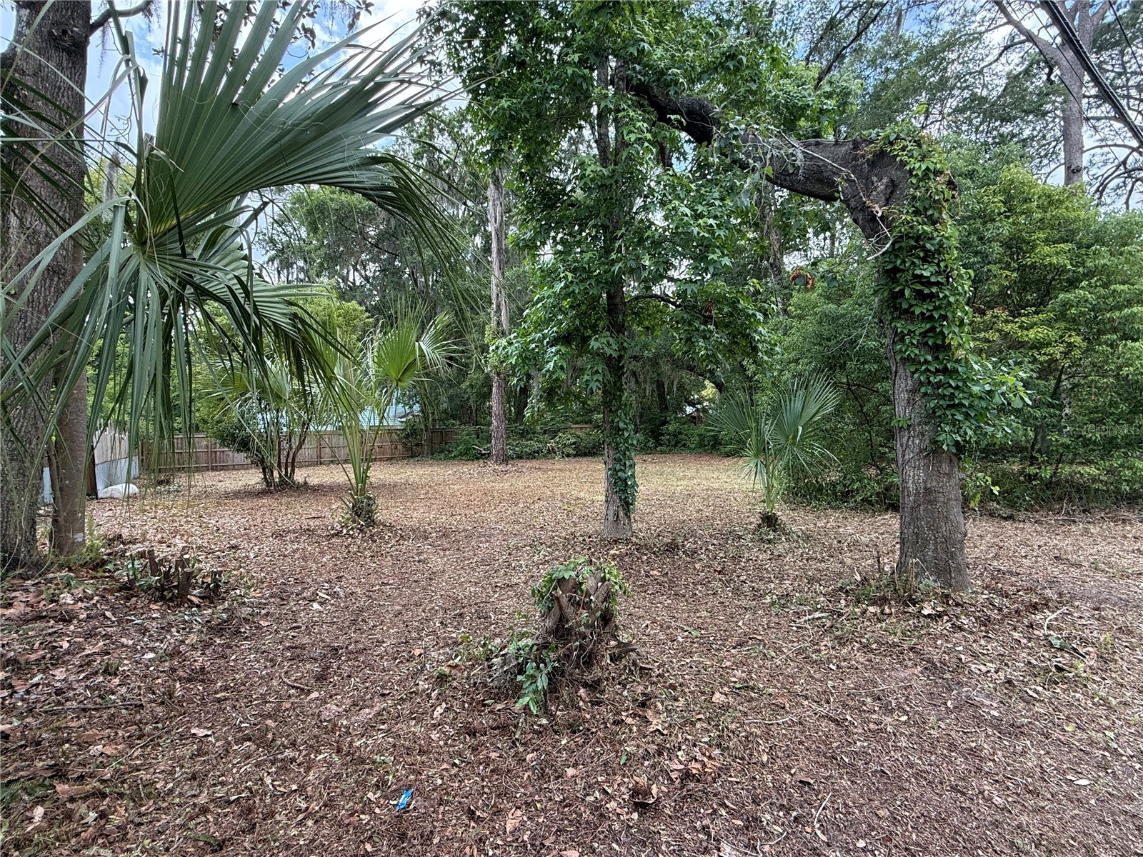 NE 8th Avenue Gainesville FL 32601 GC540234 image6