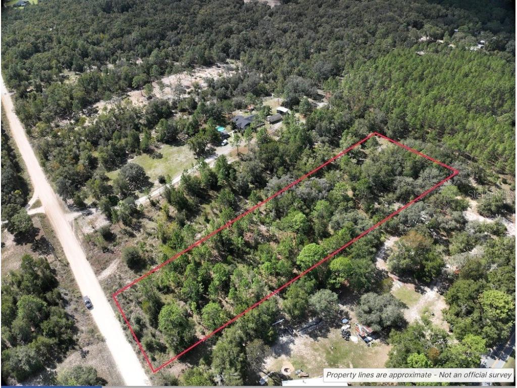 NE 90th Avenue Bronson FL 32621 A4672326 image5