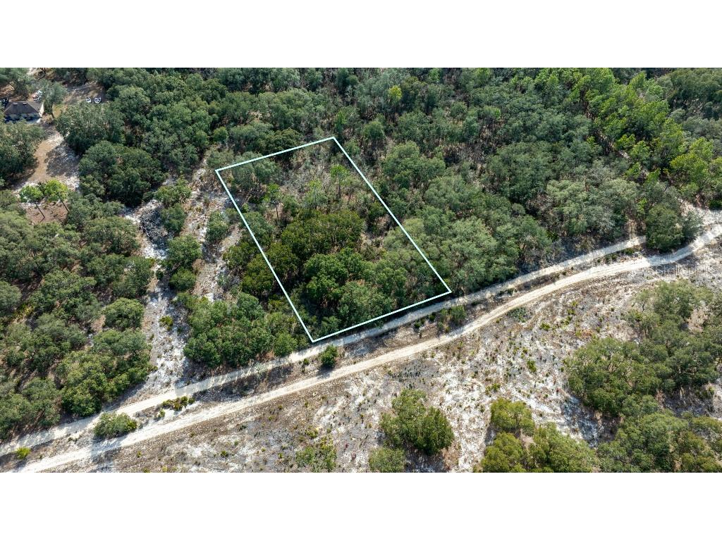 NE 90th Street Bronson FL 32621 W7883423 image1