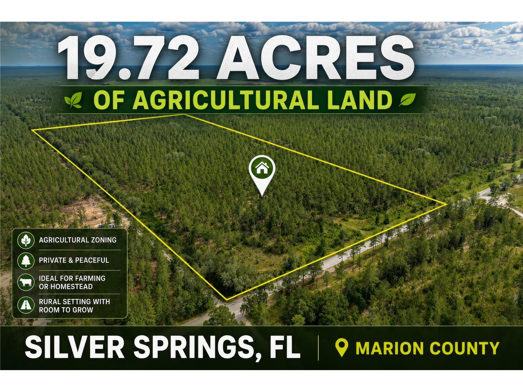 NE 90th Street Road Fort Mc Coy FL 32134 TB8520776 image1