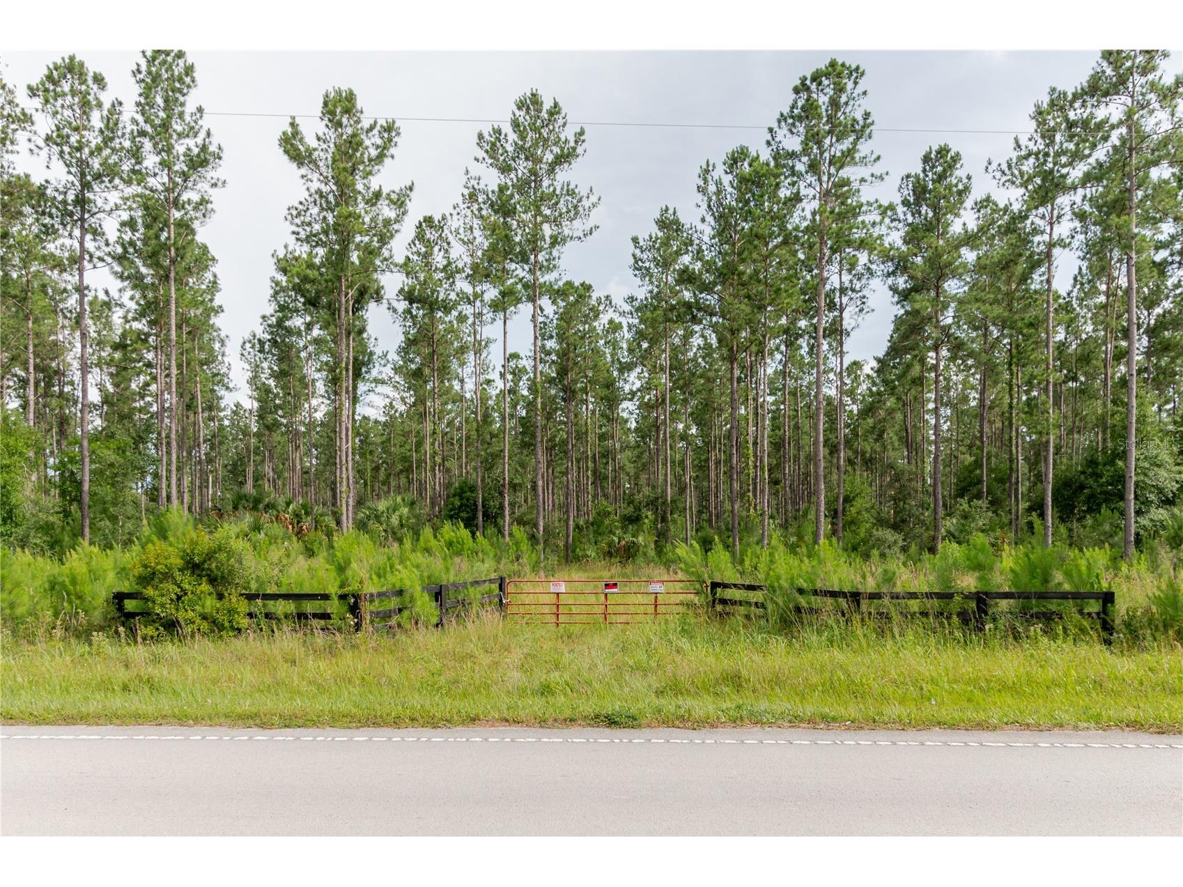 NE 90th Street Road Fort Mc Coy FL 32134 TB8520776 image14