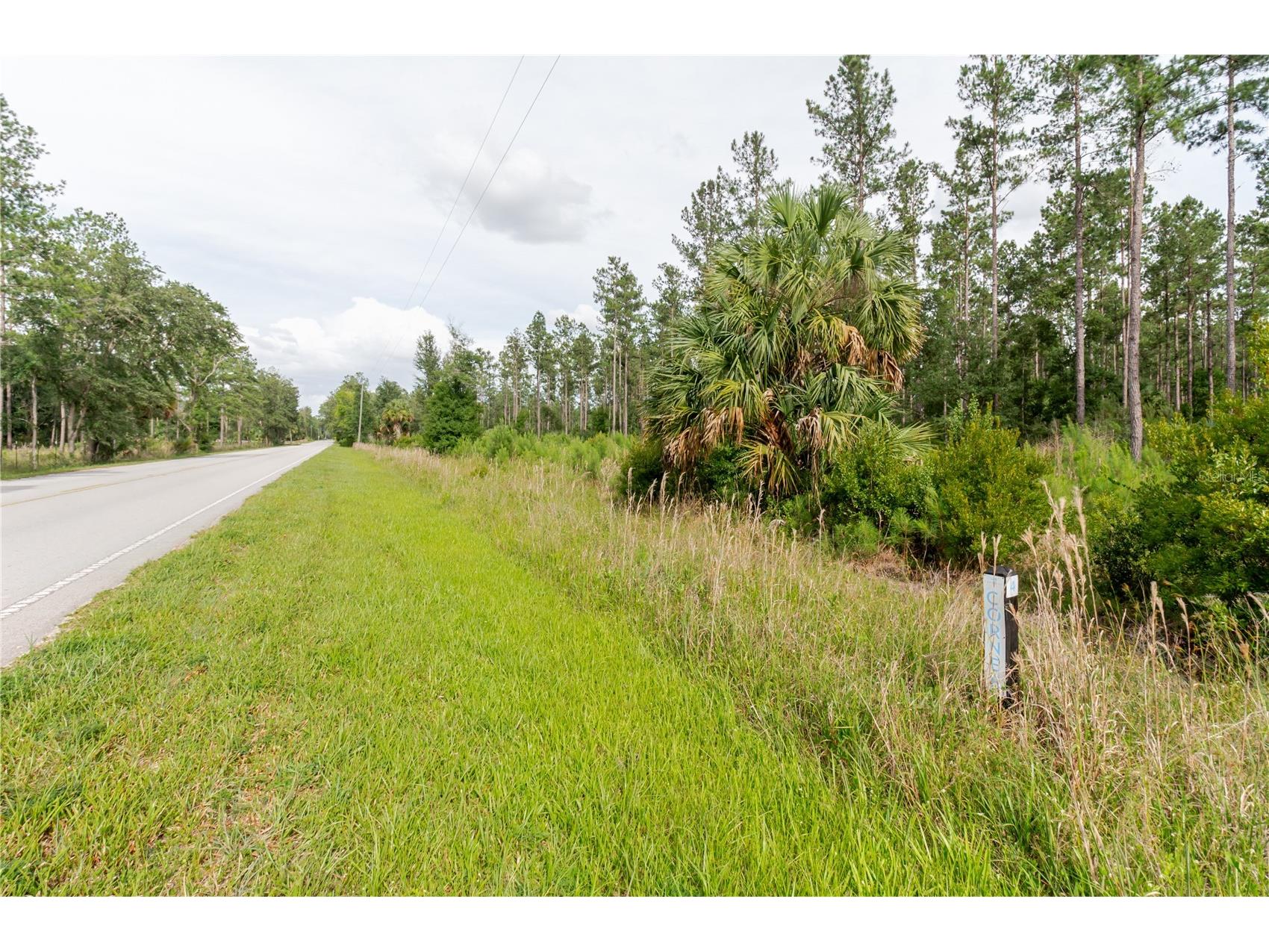 NE 90th Street Road Fort Mc Coy FL 32134 TB8520776 image16