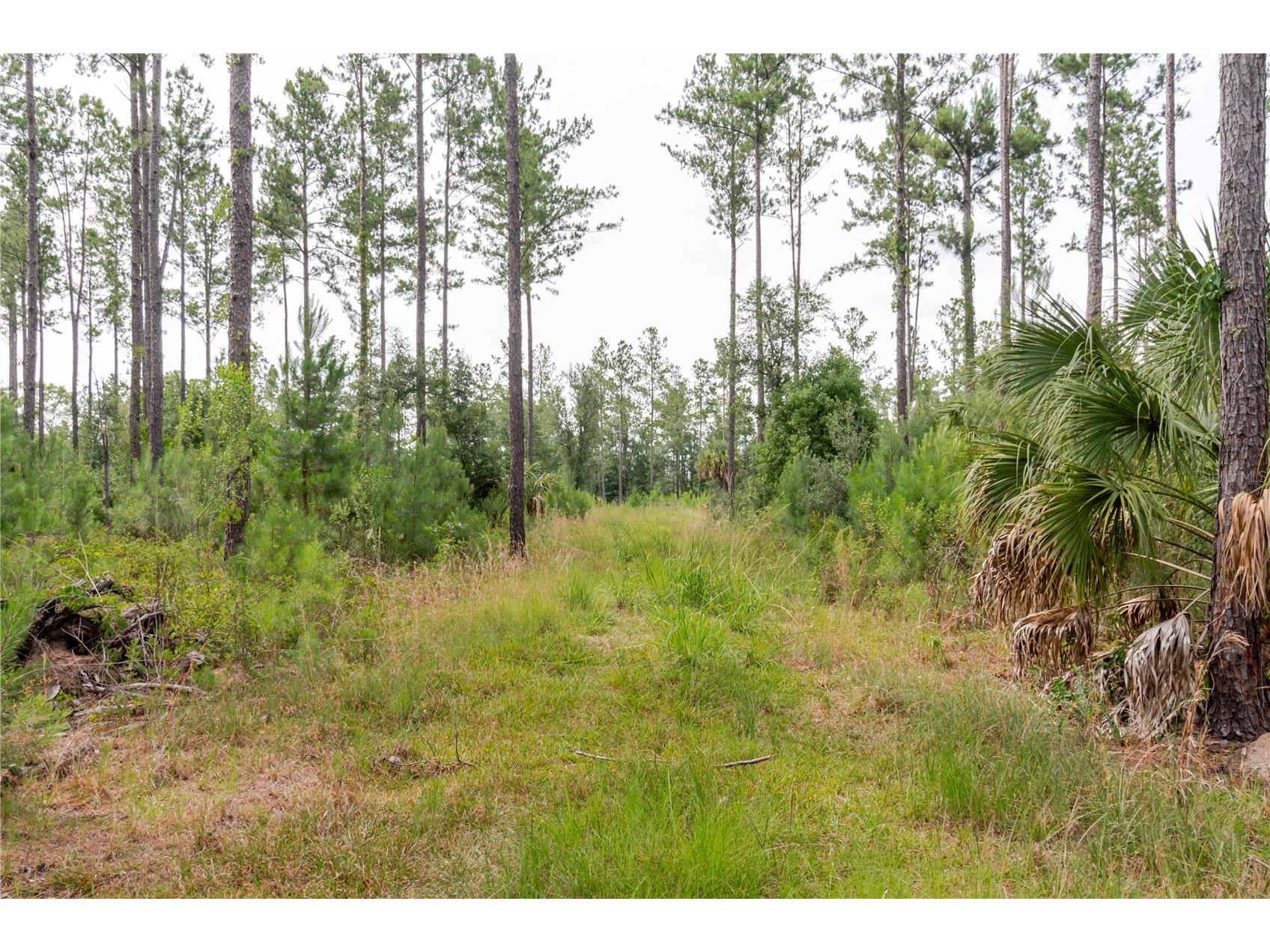 NE 90th Street Road Fort Mc Coy FL 32134 TB8520776 image17