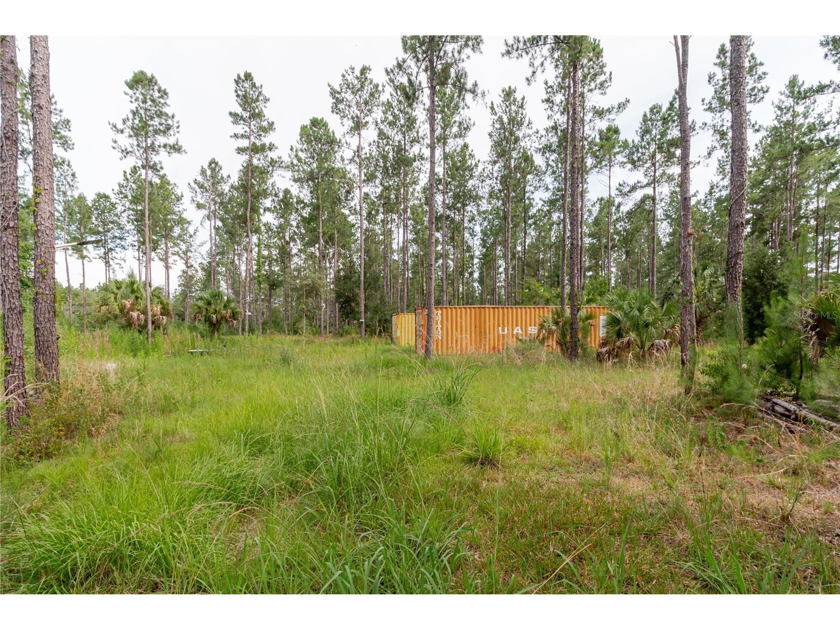 NE 90th Street Road Fort Mc Coy FL 32134 TB8520776 image18