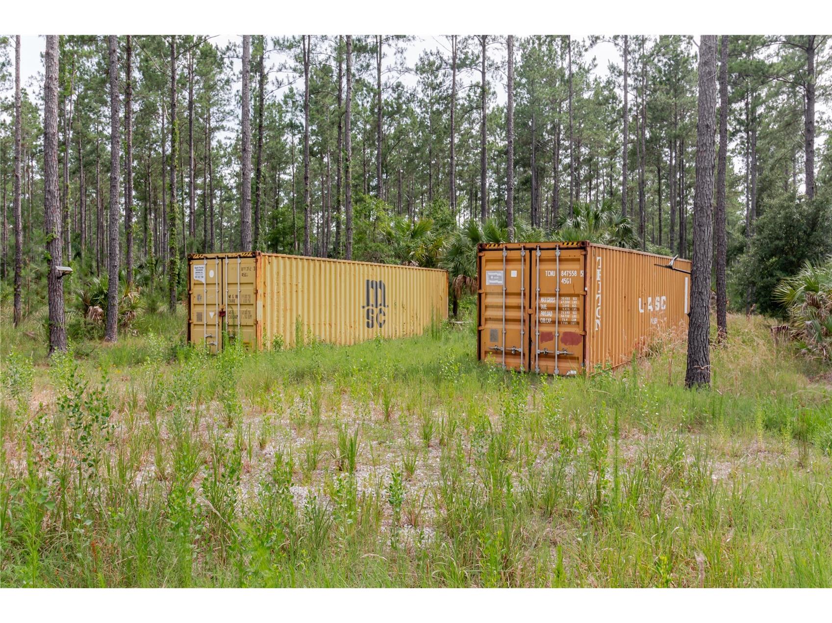 NE 90th Street Road Fort Mc Coy FL 32134 TB8520776 image19