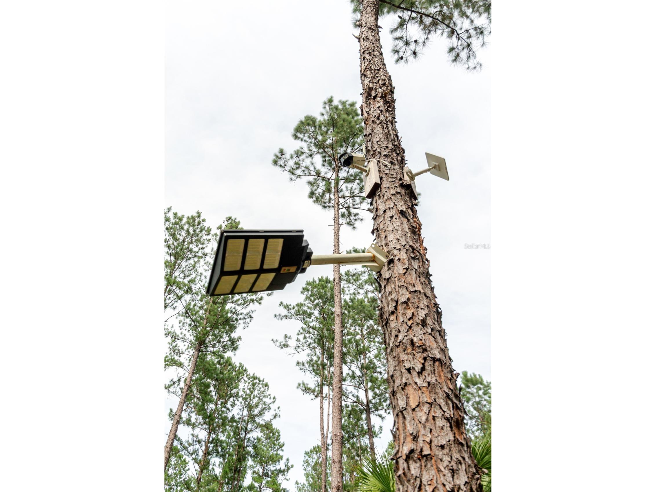 NE 90th Street Road Fort Mc Coy FL 32134 TB8520776 image20
