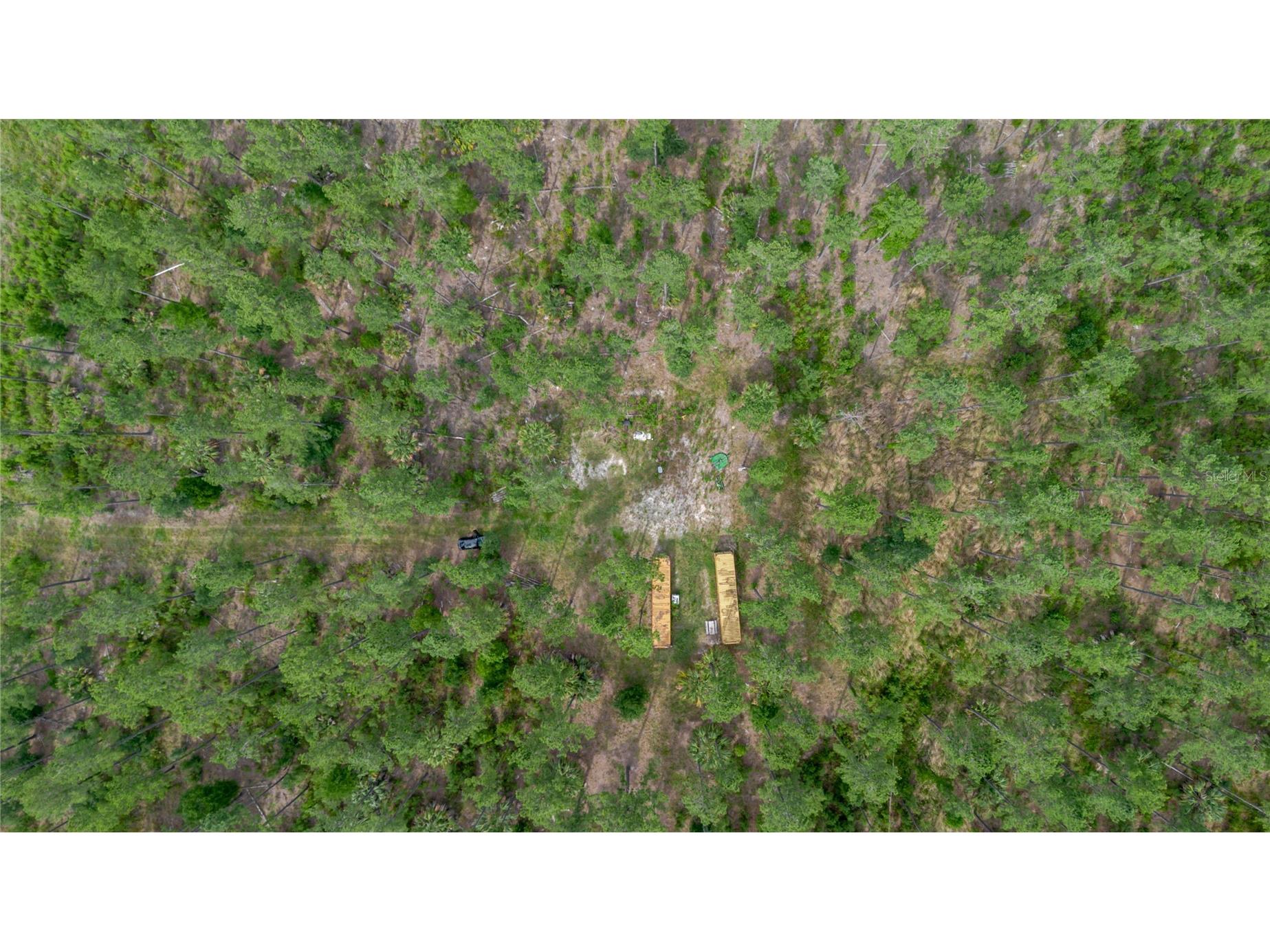 NE 90th Street Road Fort Mc Coy FL 32134 TB8520776 image21