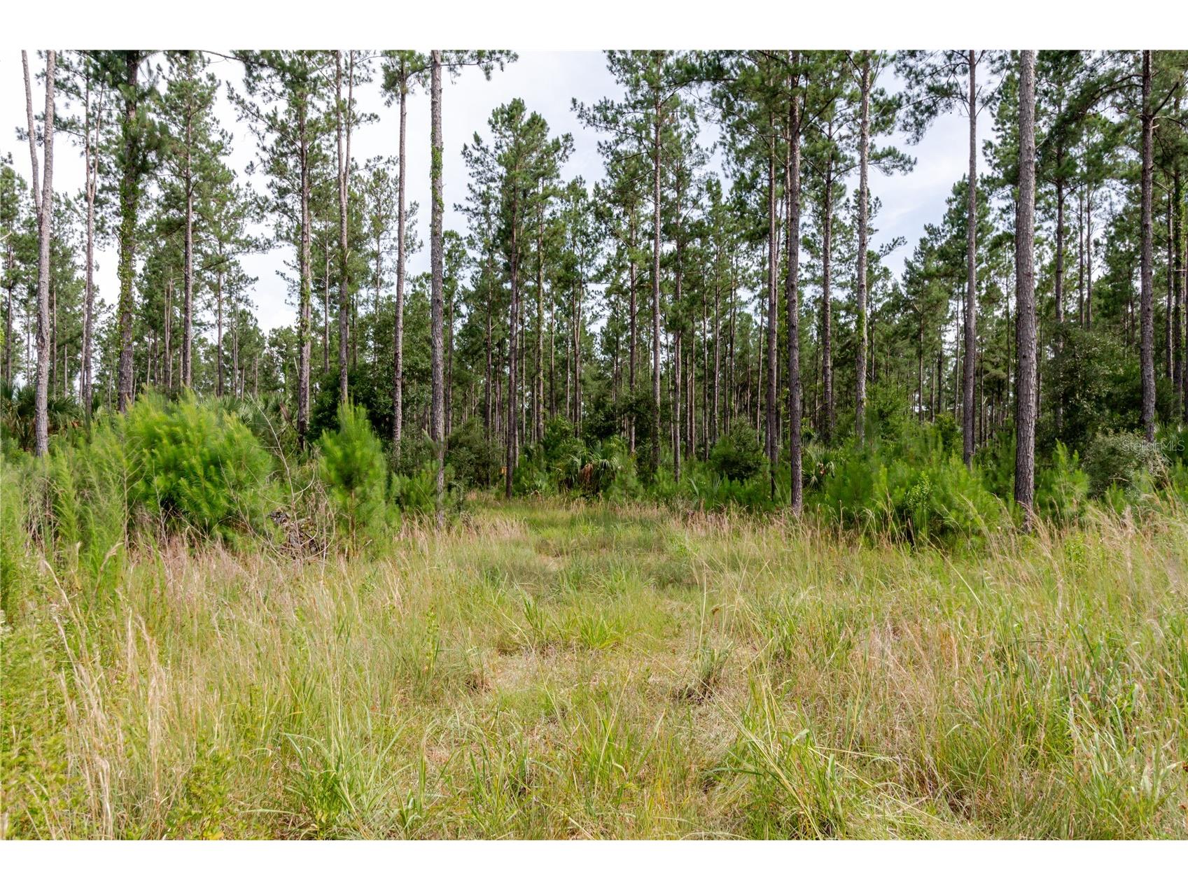 NE 90th Street Road Fort Mc Coy FL 32134 TB8520776 image23