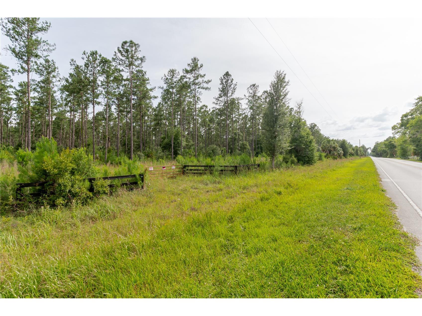 NE 90th Street Road Fort Mc Coy FL 32134 TB8520776 image24