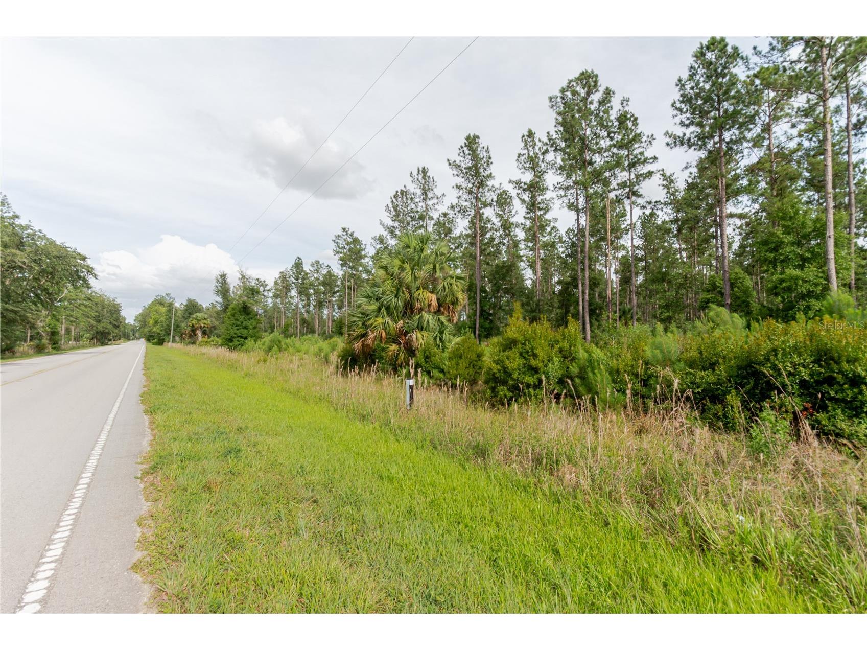NE 90th Street Road Fort Mc Coy FL 32134 TB8520776 image25