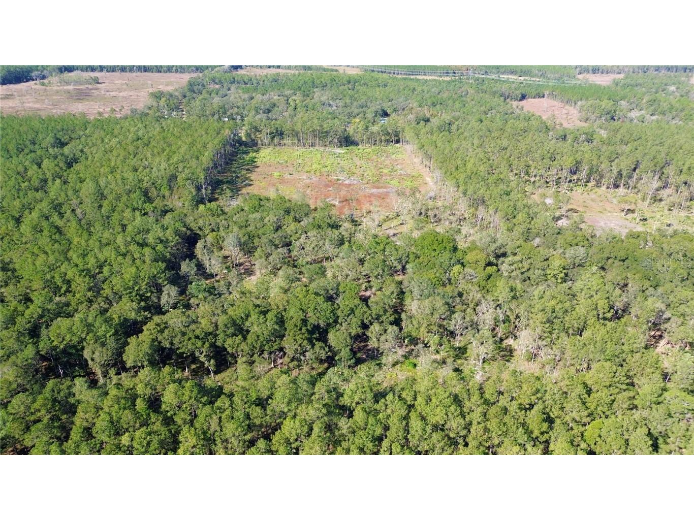 NE 92nd Ave Road Fort Mc Coy FL 32134 OM667172 image1