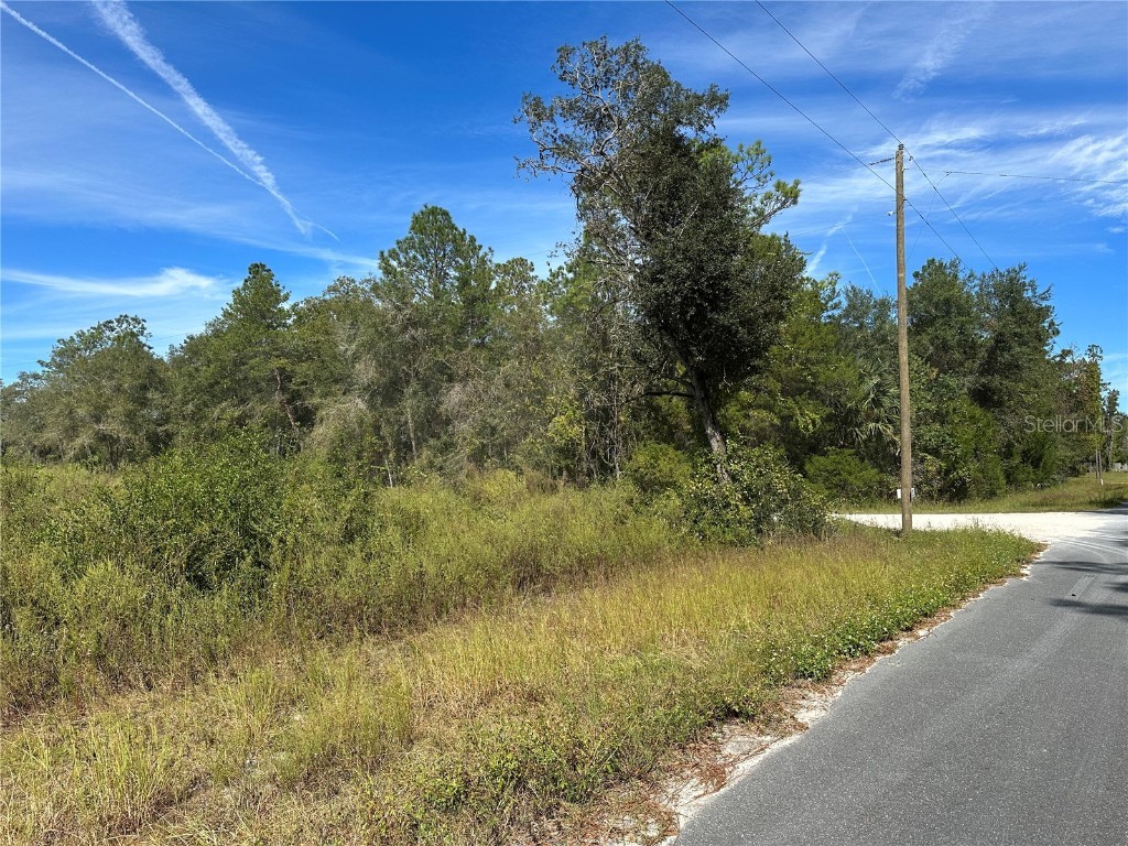 Ne 92nd Ct Bronson FL 32621 GC516833 image1