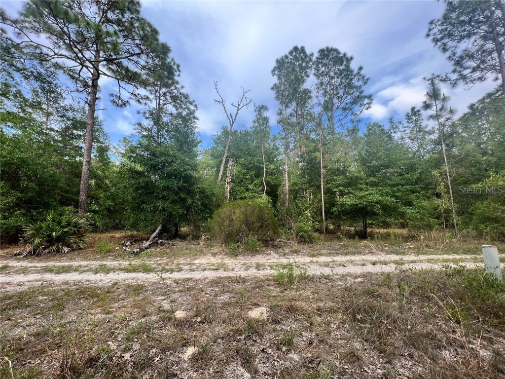 Ne 94th Ave Lot 20 & 21 Bronson FL 32621 GC513236 image1