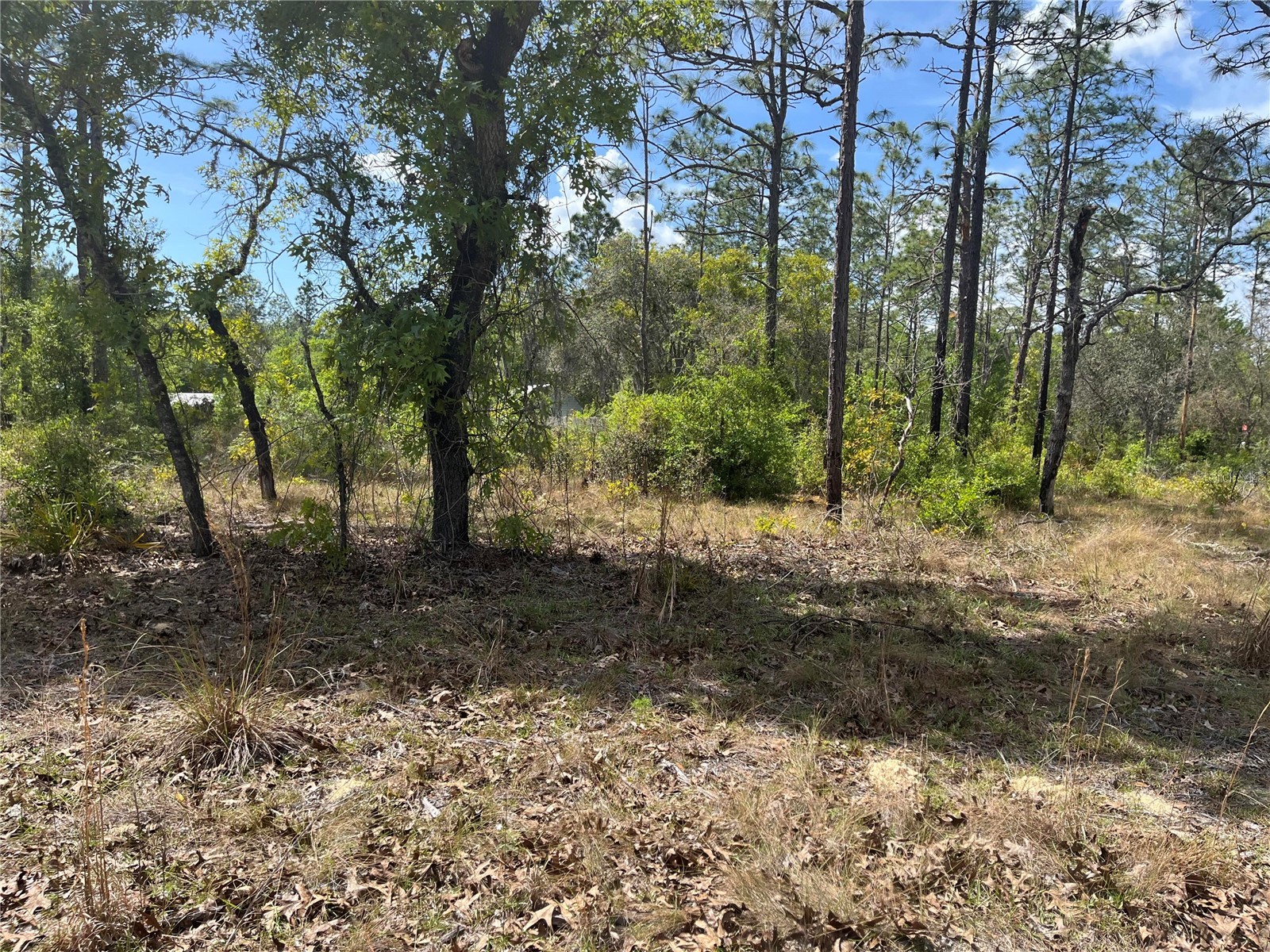 NE 96 Avenue #LOT 5 Bronson FL 32621 O6398782 image1