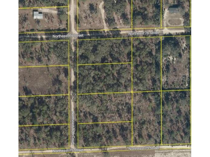 NE 97th Court Bronson FL 32621 S5147976 image1