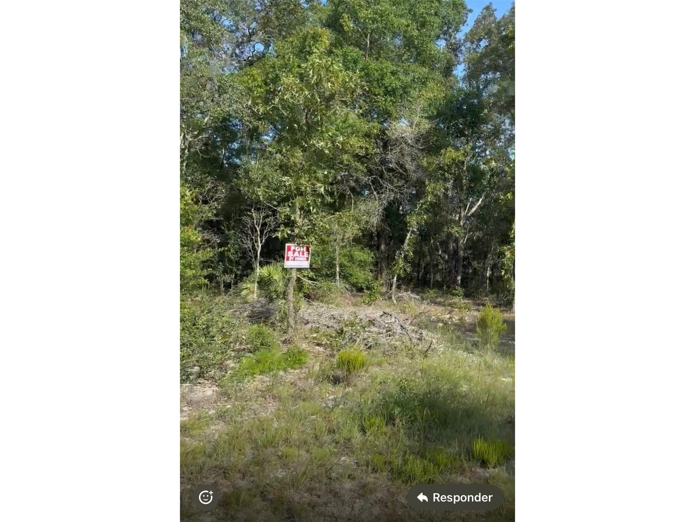 NE 97th Court Bronson FL 32621 S5147976 image2