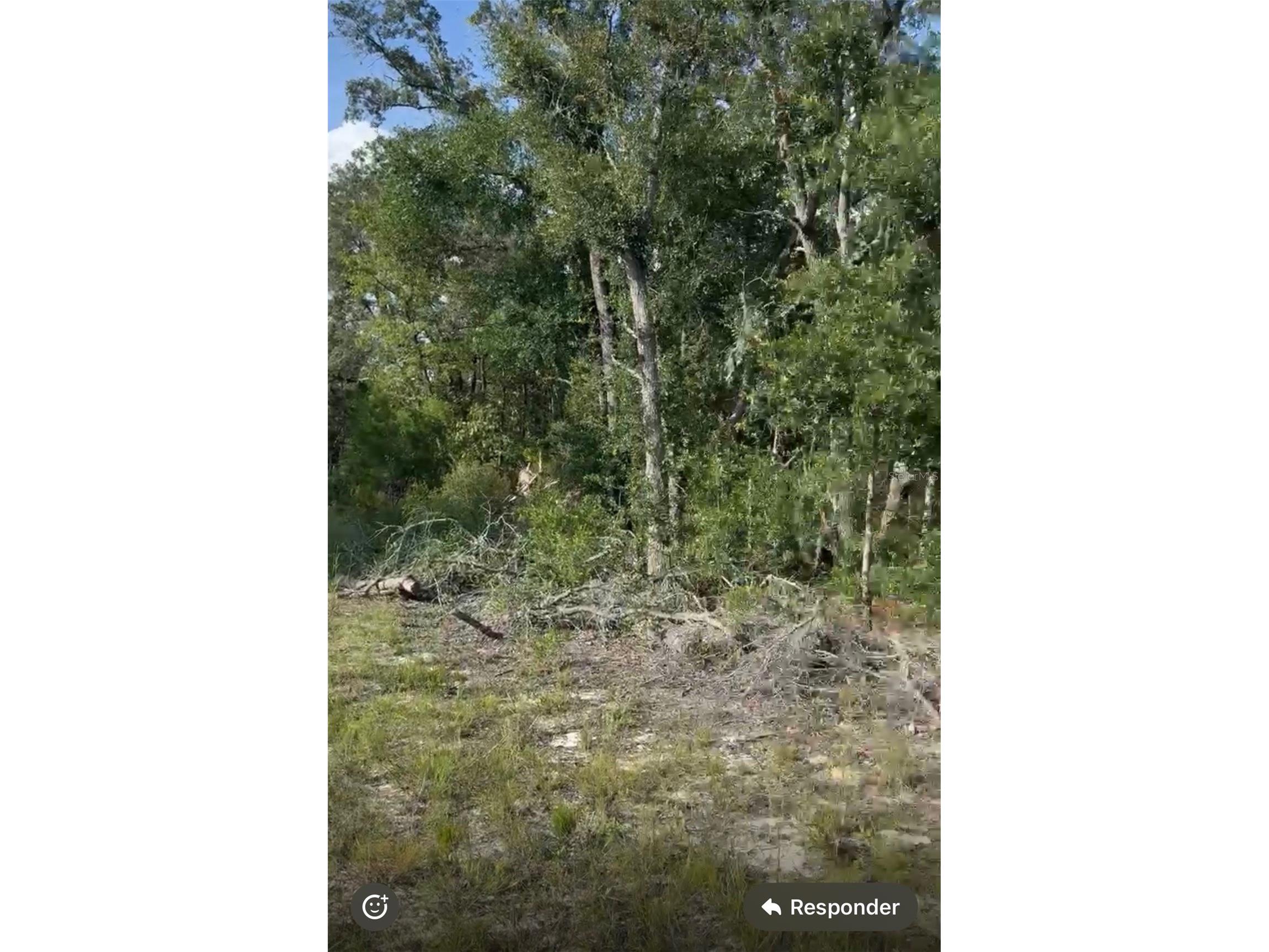 NE 97th Court Bronson FL 32621 S5147976 image3