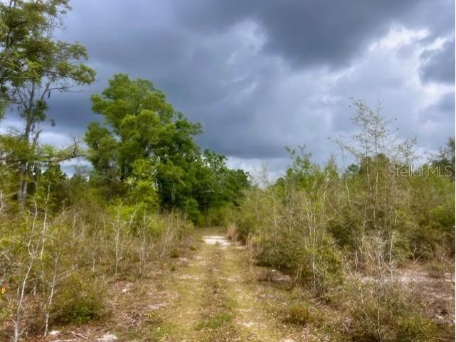 NE 998th Avenue Branford FL 32008 GC529908 image3