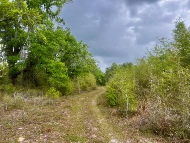 NE 998th Avenue Branford FL 32008 GC529908 image4