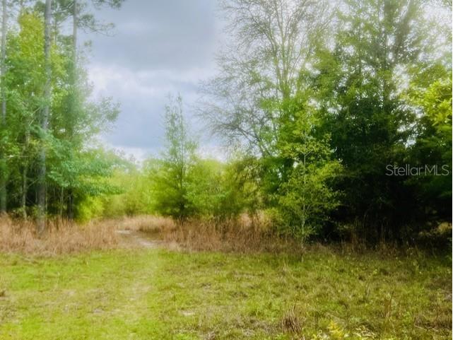 NE 998th Avenue Branford FL 32008 GC529908 image5